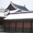 H8071 Daum카페