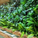 새롬학교 이미지