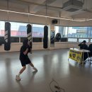 둔산복싱 이미지