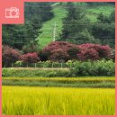 연곡리 마을회관 이미지