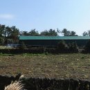 신풍리-2 이미지