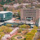 영남대학교 문화예술디자인대학원 이미지