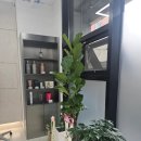 대전 괴정동 미용실 로로살롱 매직세팅 내돈내산후기