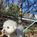 용호유치원 이미지