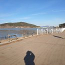 한아름 사슴 농장 이미지