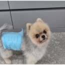 보담동물의료센터 이미지