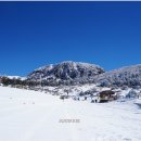 한라산 선작지왓 이미지