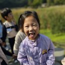 가을을 즐기며 🍁🍂 상당산성 행복한 생태체험😆 이미지