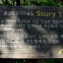 품걸리오지마을길(봄내길 6코스) 네이버블로그