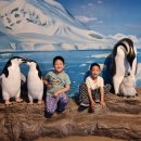 뉴캐빈호프 | [태태네 캠핑 후기 M33 230603 ~ 230606] 전남 고흥 ~ 여수 #2