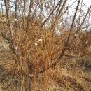 초촌농장 이미지