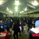 횡성한우축제장(섬강둔치) 이미지