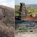 샛별단지_서 이미지