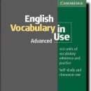 3500 단어로 어휘가 된다고? Vocabulary in Use 시리즈 이미지