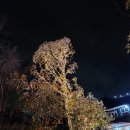 하늘궁몽블랑호텔