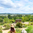 효정공원 | 대부도 바다향기수목원 입장료 주차 팁, 상상전망대까지 완벽한 당일치기 코스