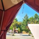 철이네 마트 이미지