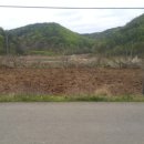 원대농장 이미지