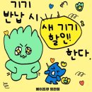 베이프큐 정관점
