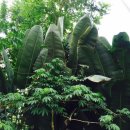 서천생태공원 이미지