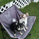 스카이N스파펜션 이미지