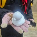 예린음악학원 이미지