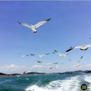 바다낚시펜션 이미지