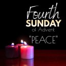 오포1동-12 이미지