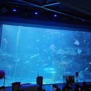 (주)일산씨월드-한화 아쿠아플라넷 일산 | 일산 아쿠아플라넷 후기 &amp; 입장권 할인 정보 모음!