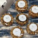 안다로미 이미지