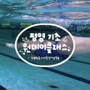 봉래초등학교 | 수영원츄 3월 평영 Lv1 기초 원데이클래스 특강 후기