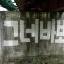 둥글이네 이미지