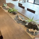 지에스25 석판대로 | [평택/송탄 신상카페_몰릭 Mollick] 제주도 감성 200%, 첫방문에 두번 주문한 후기!