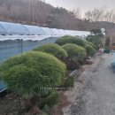 느티나무농장 이미지