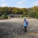 여주-0089 네이버블로그
