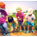 만석군농장 이미지