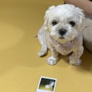 남산제 | 추석 ˘ 합천… 해인사 관광호텔