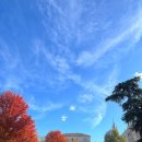 프라도 | 스페인여행 1 마드리드 시벨레스 분수 프라도미술관 후기