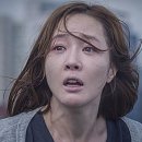 다이스필름(주) 데일리안