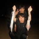 무늬카레 이미지