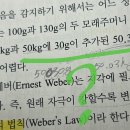 온새미로도서관 | 슬기로울 간호학과생활