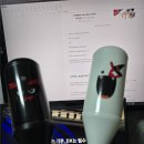 위즈네트웍스 | [KT 에이블스쿨 8기] AI개발자 합격 후기