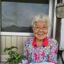 영월군보건소 이미지