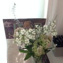 예원한의원 이미지