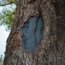 남해-242 이미지