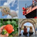 고재낚시터 이미지