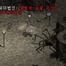 옹골