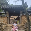 연두사과 이미지