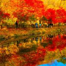 호남센터-92 이미지