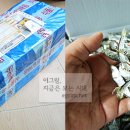 솔치로 Daum카페